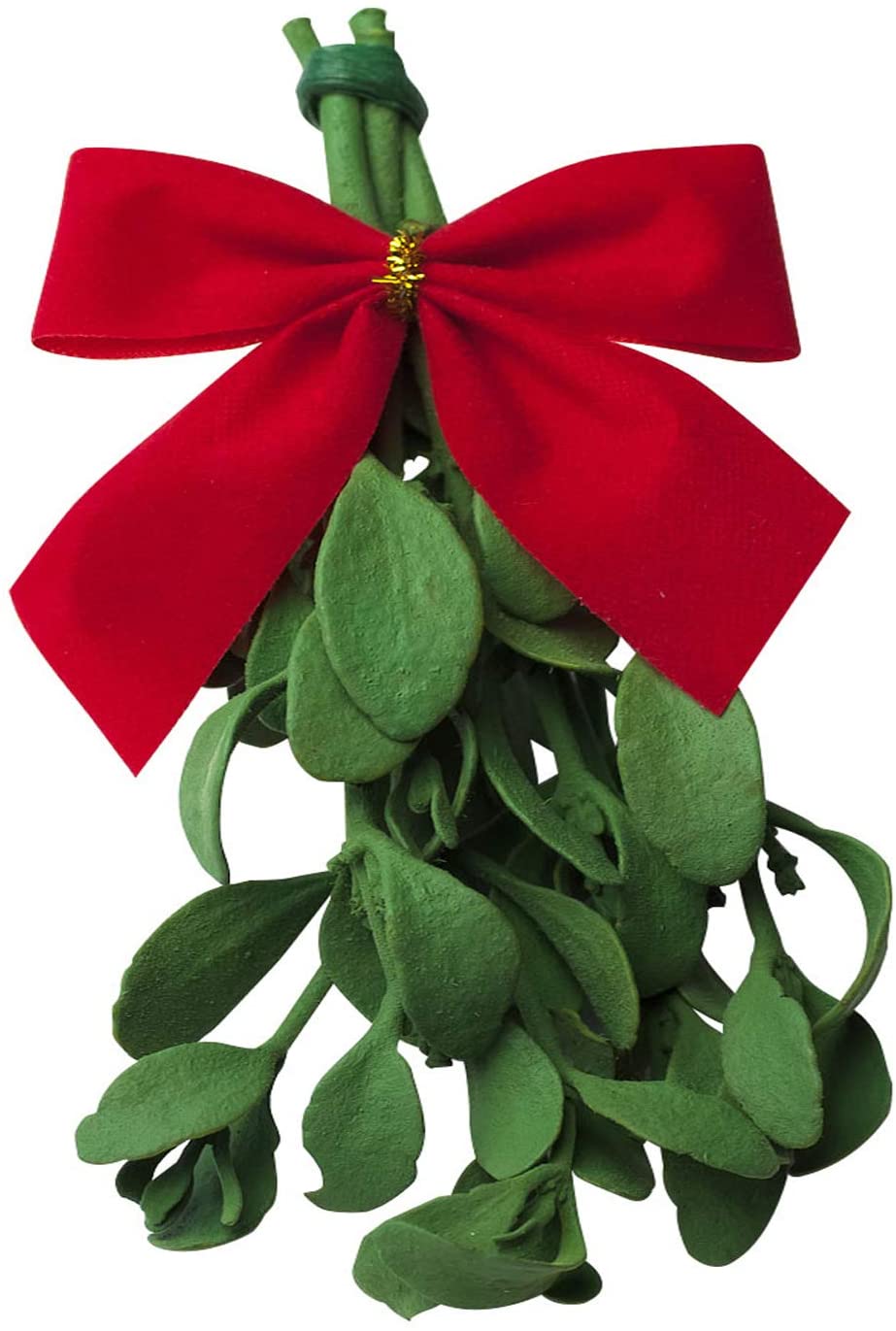 Mistletoe