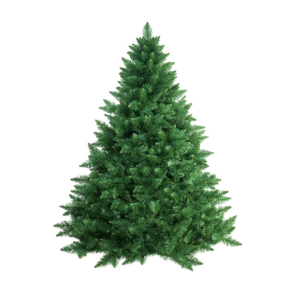 Douglas Fir Tree