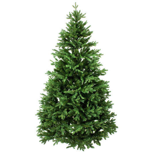 Noble Fir Tree